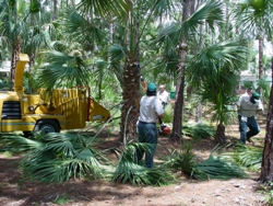Grounds maintenance